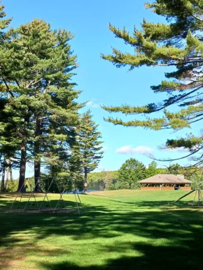 Van Riper State Park - Champion,