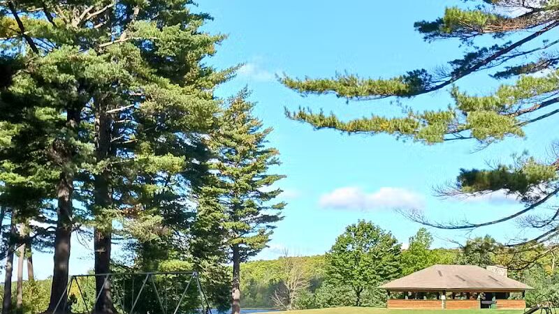 Van Riper State Park - Champion,