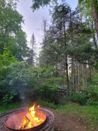 Van Riper State Park - Champion,