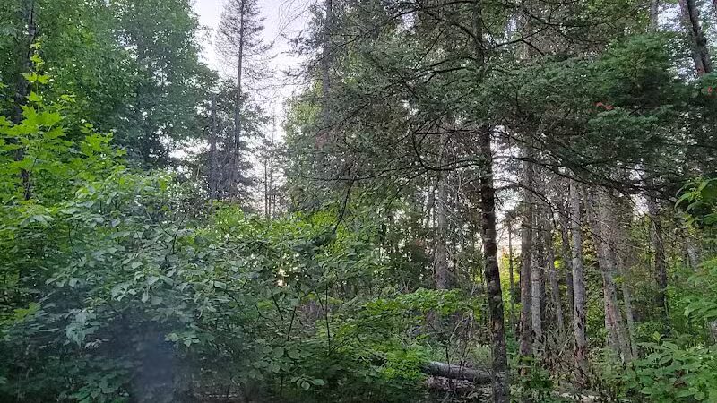 Van Riper State Park - Champion,