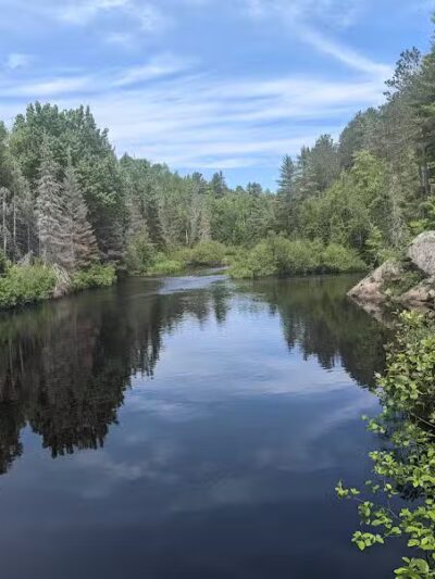 Van Riper State Park - Champion,