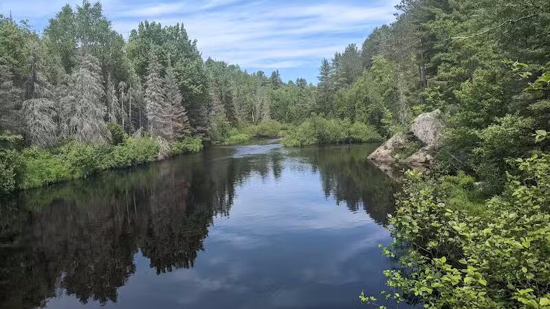 Van Riper State Park - Champion,