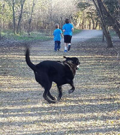 Elm Creek Park Reserve - Dog Off-leash Area - Champlin, MN