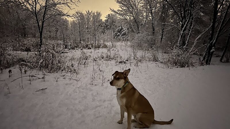 Elm Creek Park Reserve - Dog Off-leash Area - Champlin, MN