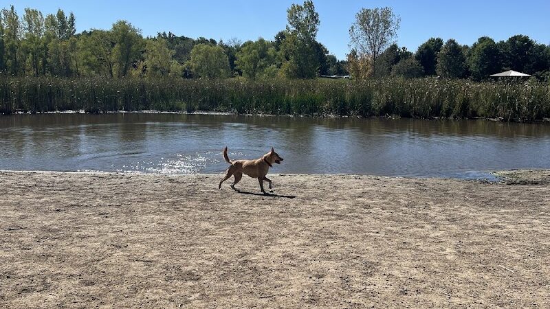 Elm Creek Park Reserve - Dog Off-leash Area - Champlin, MN