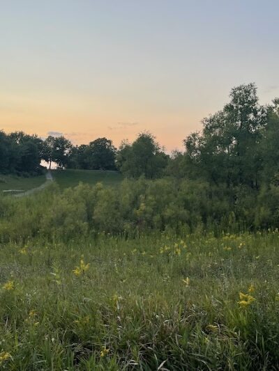 Elm Creek Park Reserve - Dog Off-leash Area - Champlin, MN