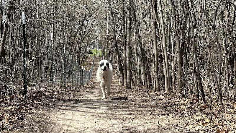 Elm Creek Park Reserve - Dog Off-leash Area - Champlin, MN