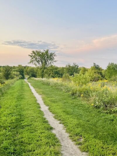 Elm Creek Park Reserve - Dog Off-leash Area - Champlin, MN