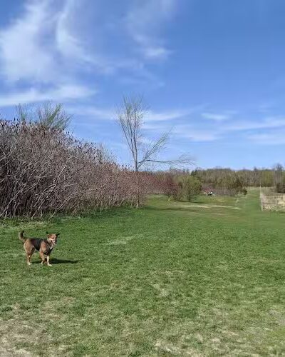 Elm Creek Park Reserve - Dog Off-leash Area - Champlin, MN