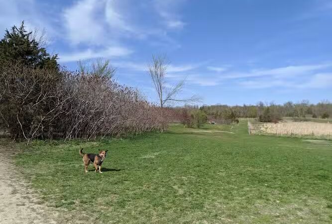 Elm Creek Park Reserve - Dog Off-leash Area - Champlin, MN
