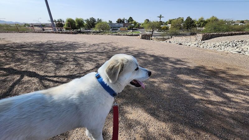 Paseo Vista Recreation Area Bark Park - Chandler, AZ
