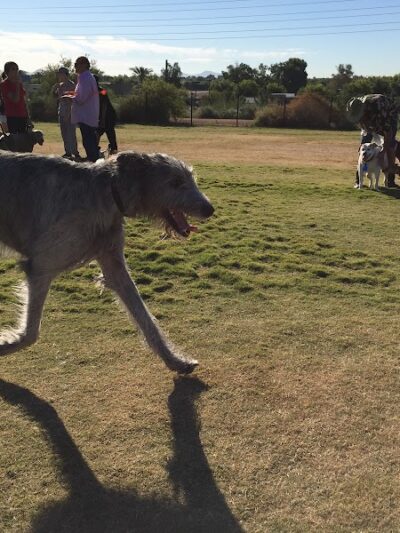 Paseo Vista Recreation Area Bark Park - Chandler, AZ