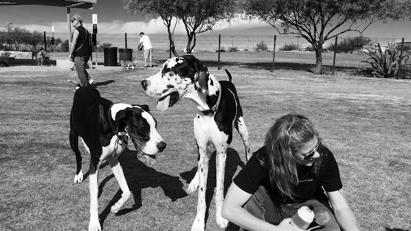 Paseo Vista Recreation Area Bark Park - Chandler, AZ