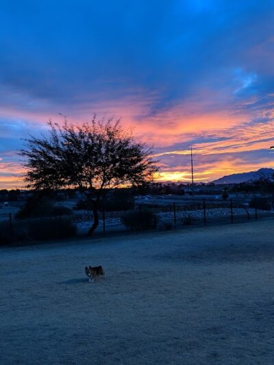 Paseo Vista Recreation Area Bark Park - Chandler, AZ
