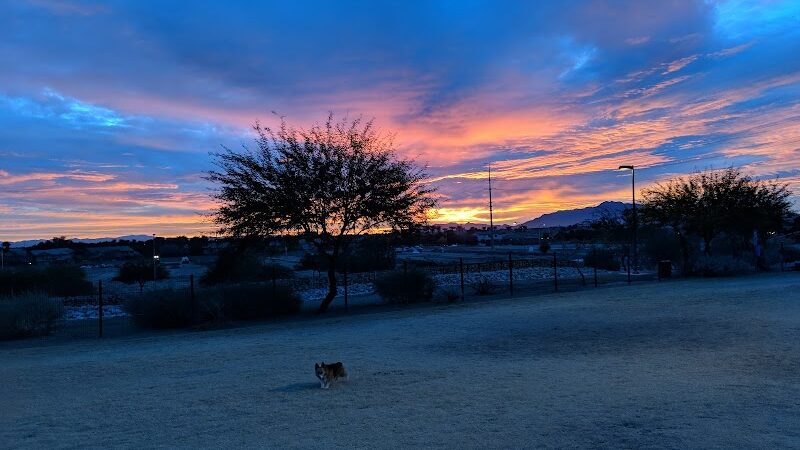 Paseo Vista Recreation Area Bark Park - Chandler, AZ