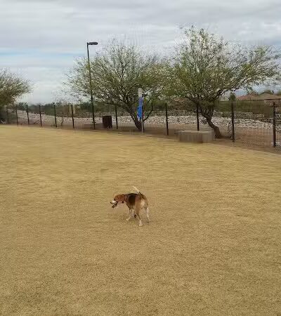 Paseo Vista Recreation Area Bark Park - Chandler, AZ
