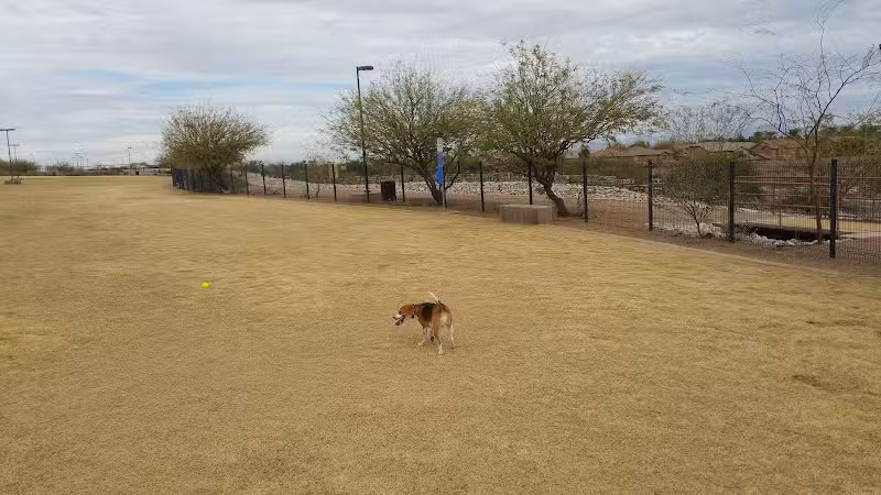Paseo Vista Recreation Area Bark Park - Chandler, AZ