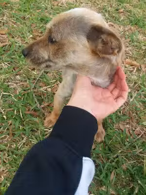 Moncrief Park - Channelview, TX