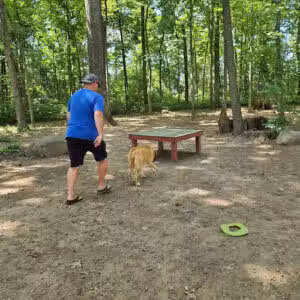 Dulles Gateway Dog Park - Chantilly, VA