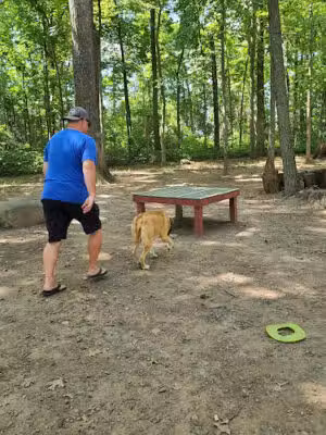 Dulles Gateway Dog Park - Chantilly, VA