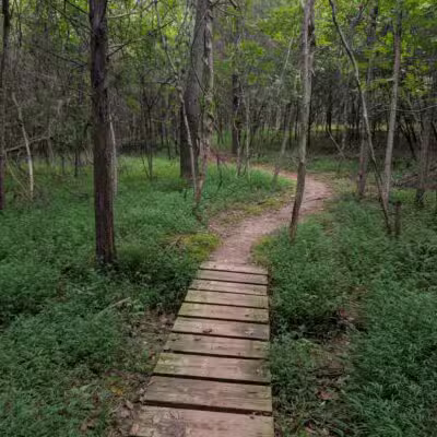 Henry Horton State Park - Chapel Hill, TN
