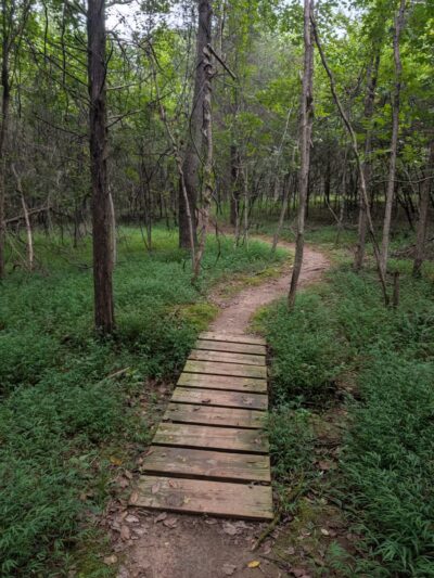 Henry Horton State Park - Chapel Hill, TN