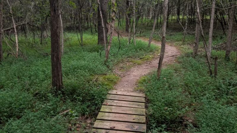 Henry Horton State Park - Chapel Hill, TN