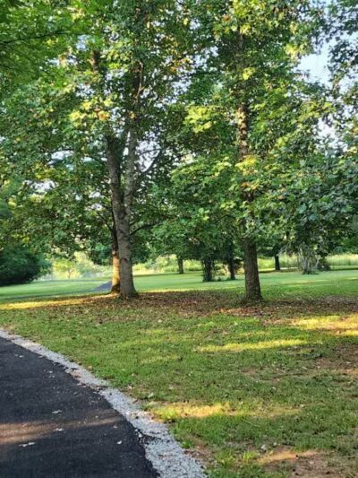 Henry Horton State Park - Chapel Hill, TN