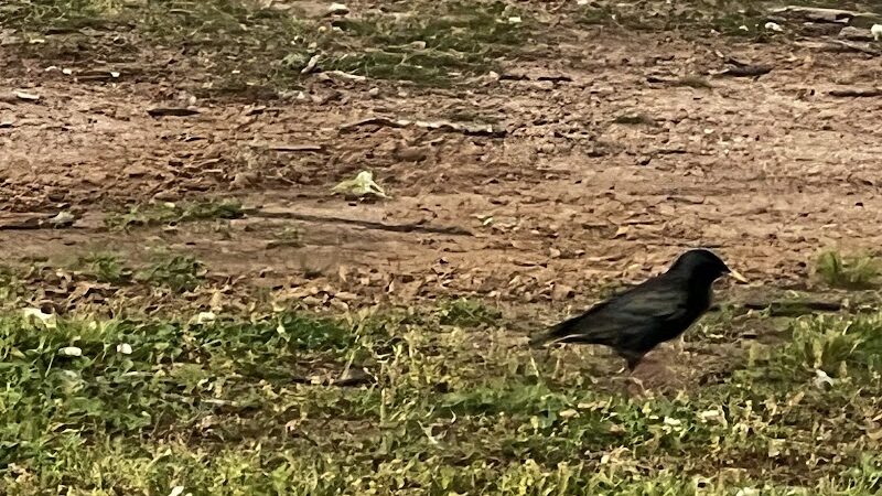 Crooked Creek Park - Chapin, SC