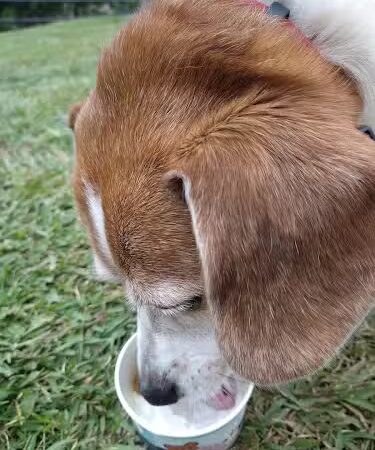 Crooked Creek Park - Chapin, SC