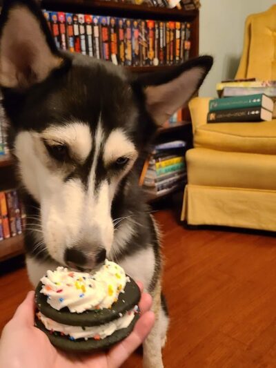Woof Gang Bakery & Grooming Chapin - Chapin, SC