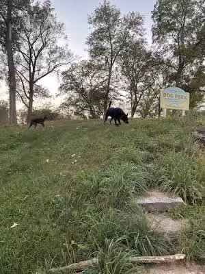 Charles City Dog Park - Charles City, IA