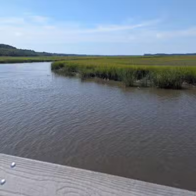 James Island County Park - Dog Park - Charleston, SC