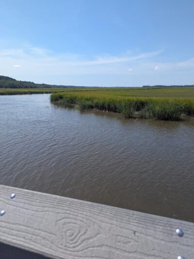 James Island County Park - Dog Park - Charleston, SC