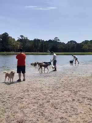 James Island County Park - Dog Park - Charleston, SC