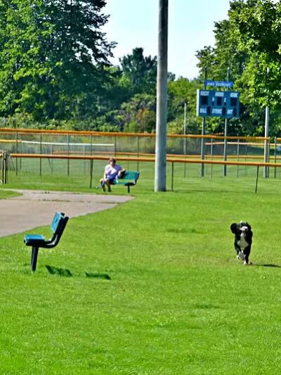 Charlevoix Dog Park - Charlevoix, MI