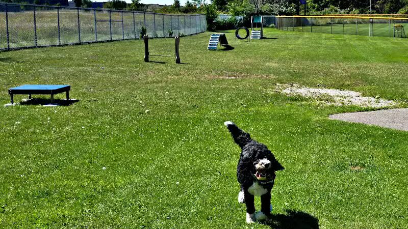 Charlevoix Dog Park - Charlevoix, MI