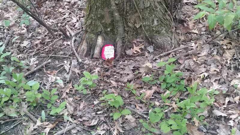 Battle Creek River - Charlotte,