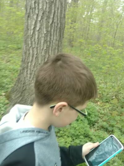 Battle Creek River - Charlotte,