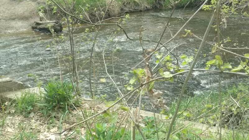 Battle Creek River - Charlotte,