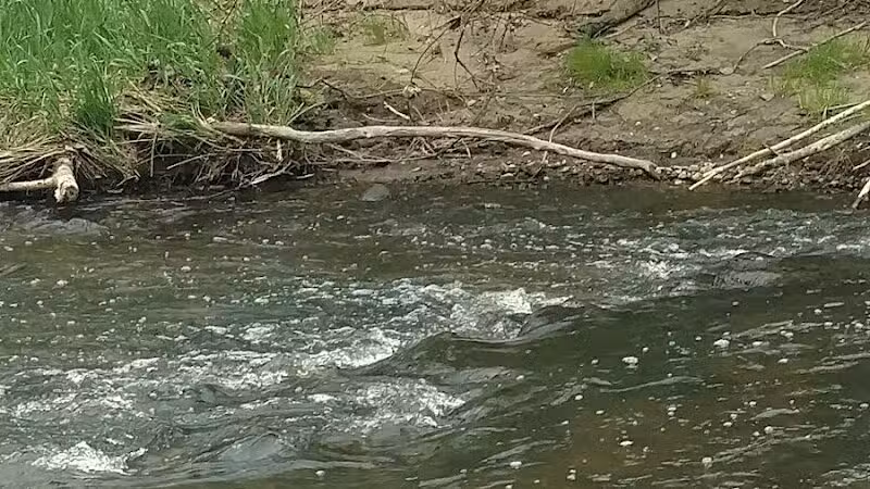 Battle Creek River - Charlotte,