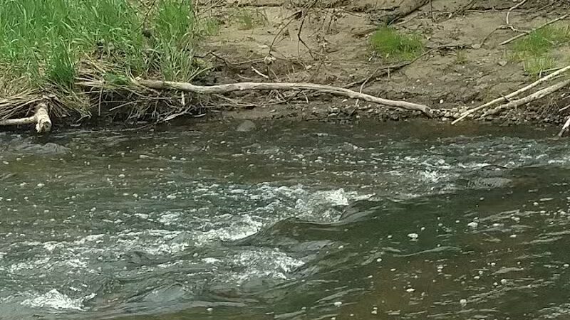 Battle Creek River - Charlotte,