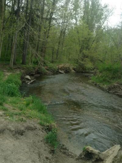 Battle Creek River - Charlotte,