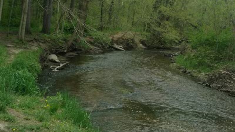 Battle Creek River - Charlotte,