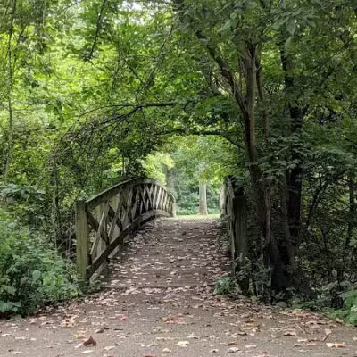 Bennett Park - Charlotte,
