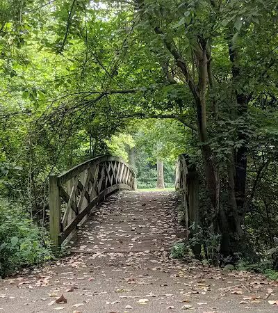 Bennett Park - Charlotte,