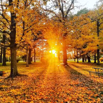 Bennett Park - Charlotte,