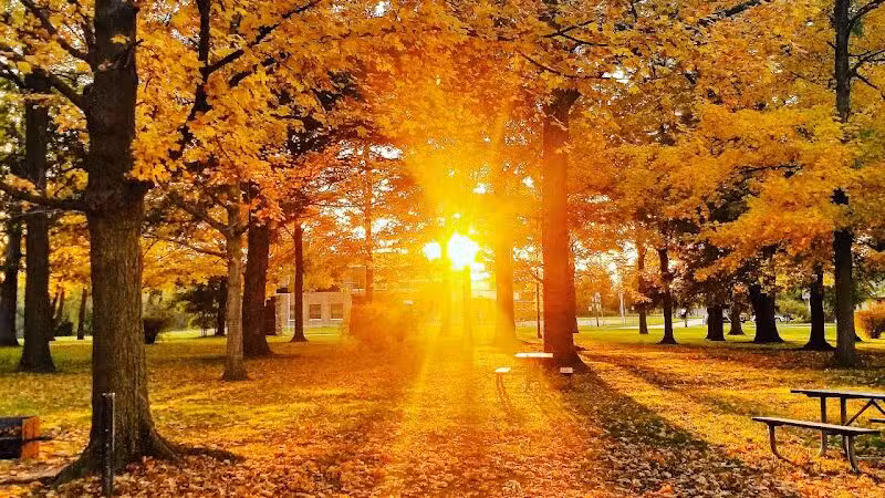 Bennett Park - Charlotte,
