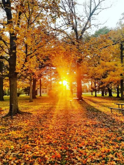 Bennett Park - Charlotte,