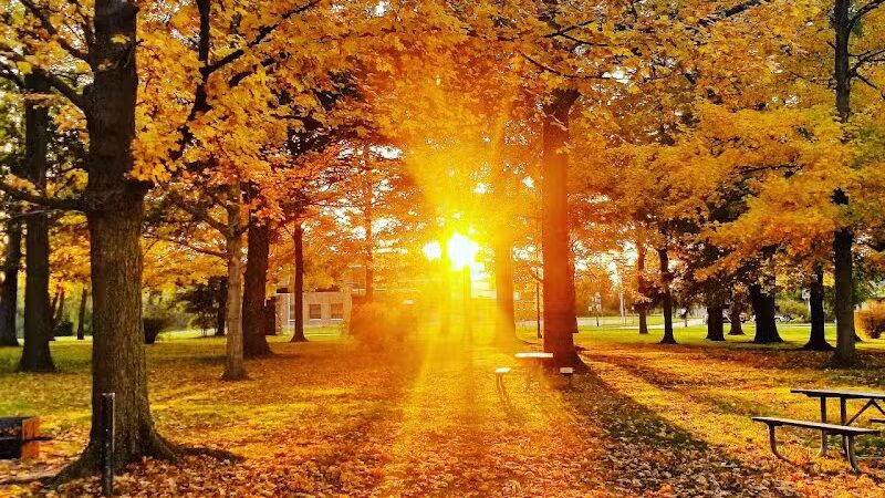 Bennett Park - Charlotte,